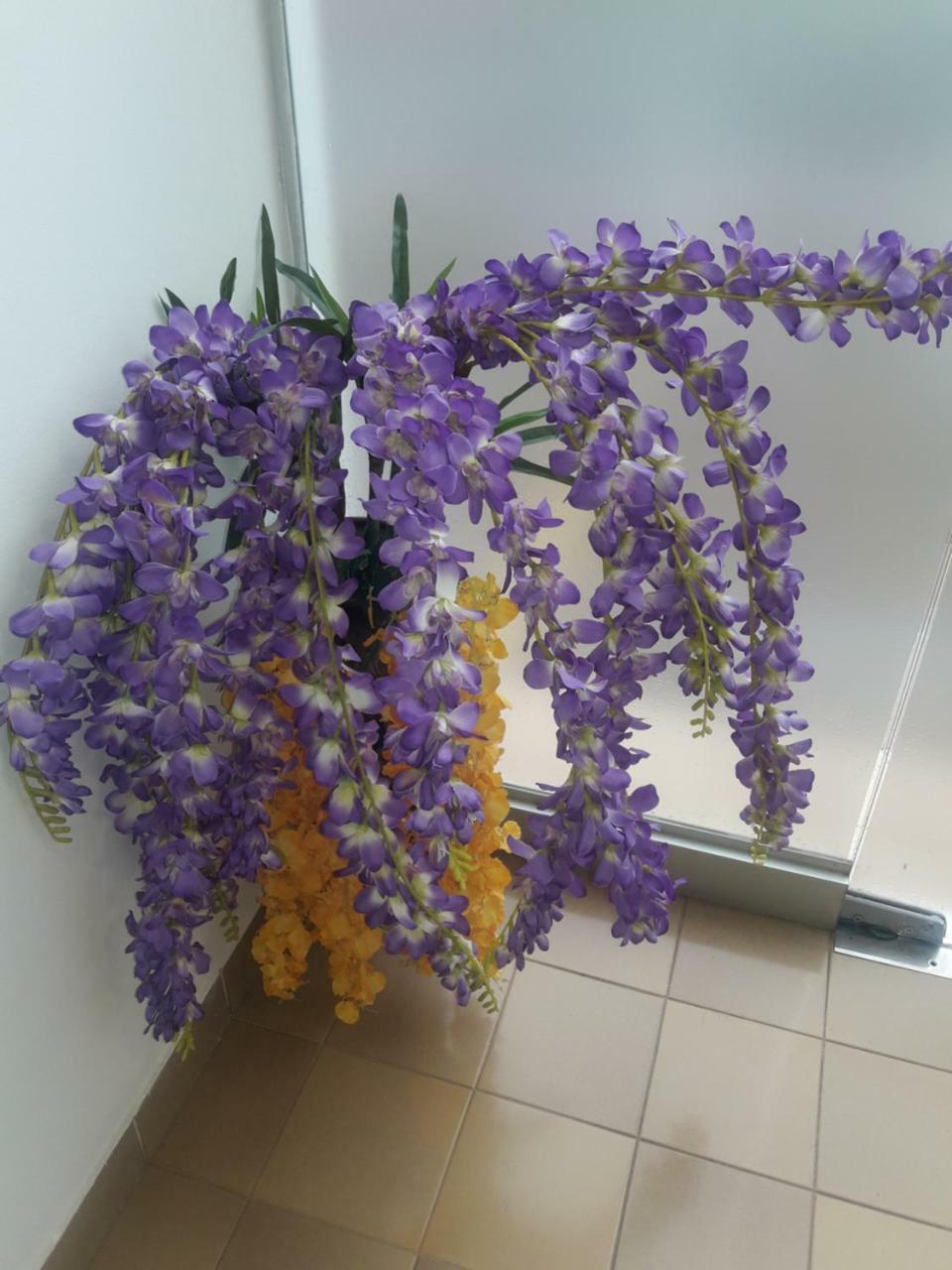 Hotel Casa Jardin Ασουνσιόν Εξωτερικό φωτογραφία